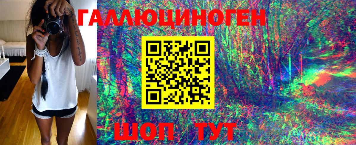Псилоцибиновые грибы мухоморы  как найти наркотики  Якутск  Вход с VPN 